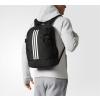 Adidas BR5864 BP POWER SIRT VE OKUL ÇANTASI 44 X 32 X 16 CM