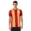 Nike 618776-606 GALATASARAY 14-15 TARAFTAR FORMASI