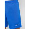 Nike AJ9994-480 DRY ACADEMY SHORT SPOR ANTRENMAN ŞORT