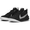 nike CW6735-004 TEAM HUSTLE D 10 BASKETBOL AYAKKABISI