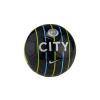 Nike SC3293-475 MANCHESTER CITY FC FUTBOL ANTRENMAN TOPU